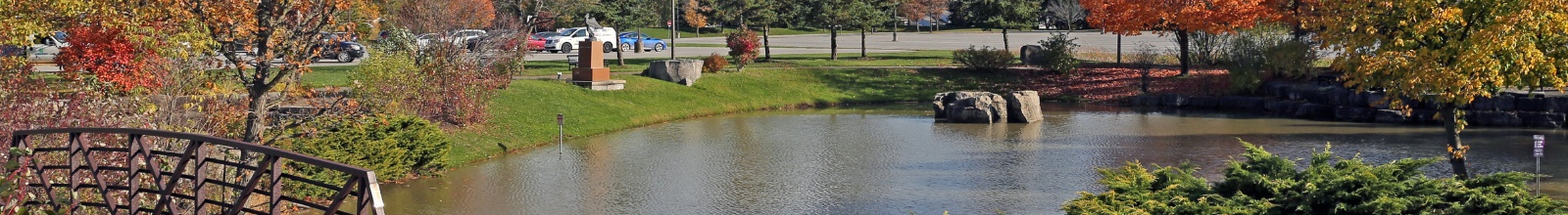 A pond in a clean cut park in the fall